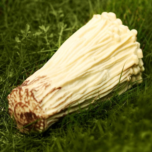 Brinquedo cogumelo para aliviar a tensão