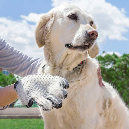 Luva de Escovagem e Massagem para Animais Relpet InnovaGoods