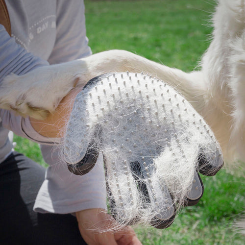 Luva de Escovagem e Massagem para Animais Relpet InnovaGoods