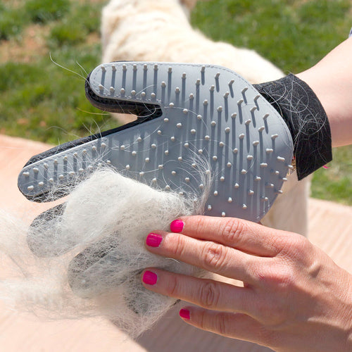 Luva de Escovagem e Massagem para Animais Relpet InnovaGoods