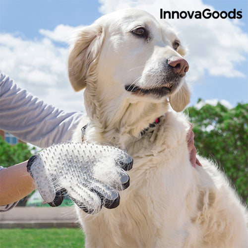 Luva de Escovagem e Massagem para Animais Relpet InnovaGoods