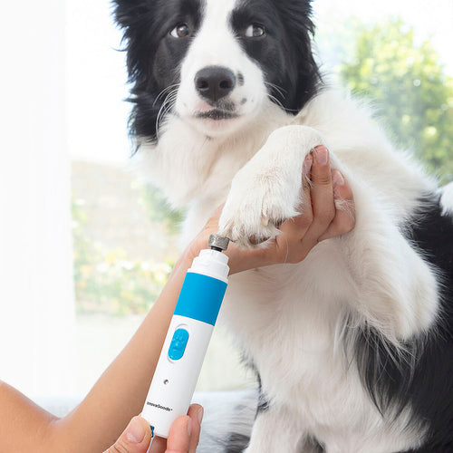 Lima de Unhas Recarrregável para Animais Pawy InnovaGoods!