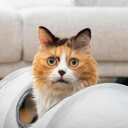 🐾 Túnel Dobrável para Animais Funnyl InnovaGoods!