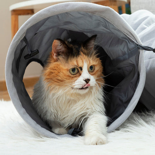 🐾 Túnel Dobrável para Animais Funnyl InnovaGoods!