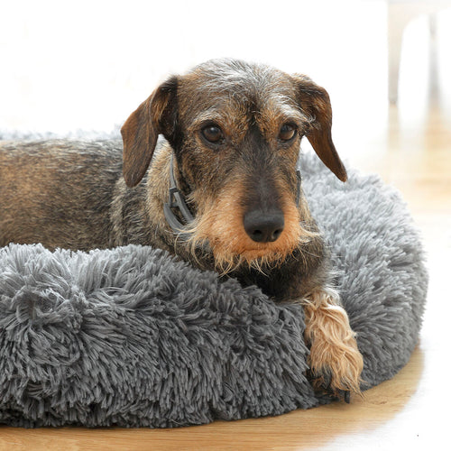 Cama Anti-Stress para Animais Bepess InnovaGoods Ø 60 cm!