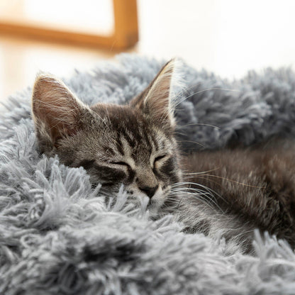 Cama Anti-Stress para Animais Bepess InnovaGoods Ø 60 cm!