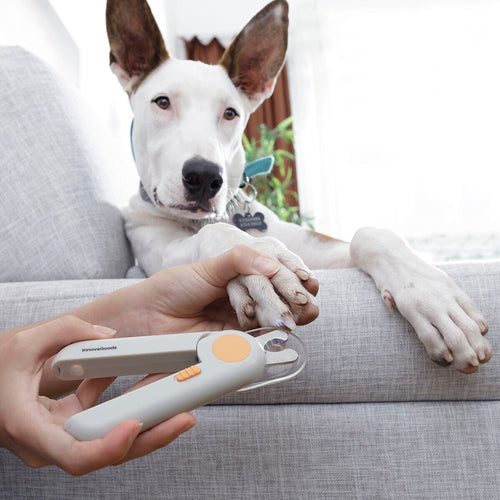 ✂️ Cortador de Unhas para Animais com LED Clipet InnovaGoods!