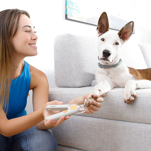 ✂️ Cortador de Unhas para Animais com LED Clipet InnovaGoods!