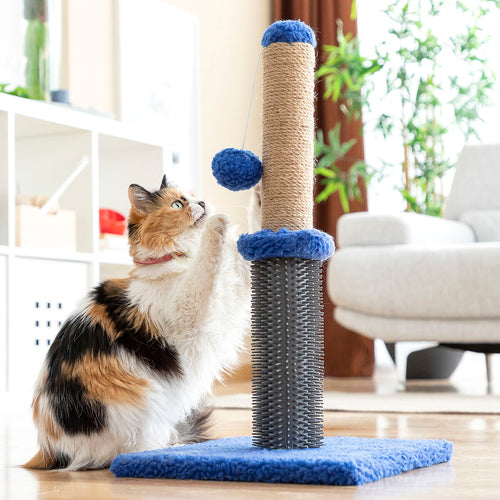 Poste de Arranhar e Massajar para Gatos com Bola Miausage InnovaGoods!