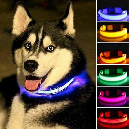 Coleiras de Cão em Nylon com LED - segurança