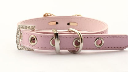 Collar para perro Armipet con lazo de perla – Estilo princesa para cachorros y perros pequeños