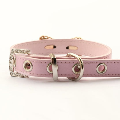 Collar para perro Armipet con lazo de perla – Estilo princesa para cachorros y perros pequeños